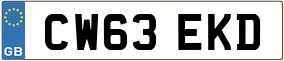 Trailer License Plate